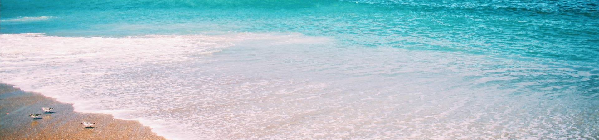 camping-los-patos-playa-les-marines-denia